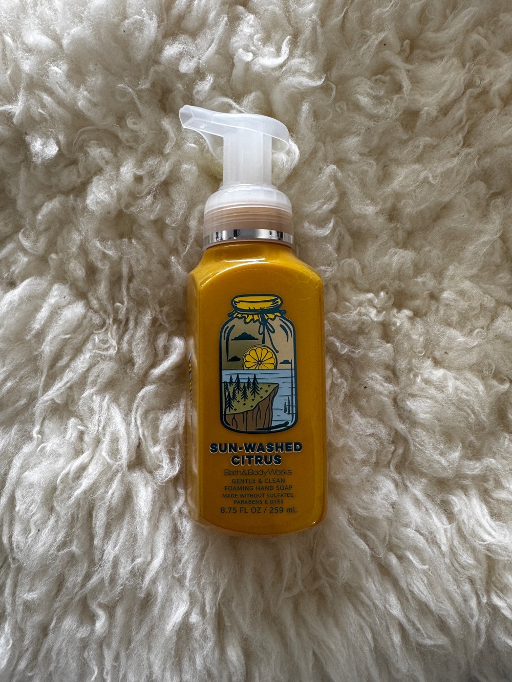 New BBW Sun-Washed Citrus Gentle Foaming Hand Soap